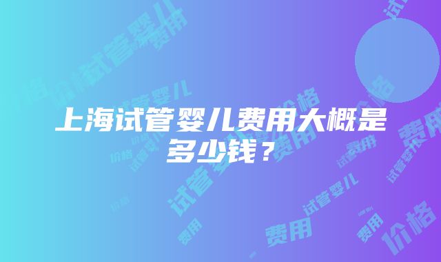 上海试管婴儿费用大概是多少钱？