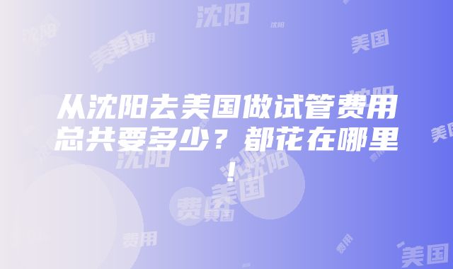 从沈阳去美国做试管费用总共要多少？都花在哪里！