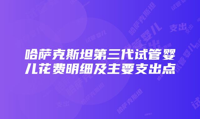 哈萨克斯坦第三代试管婴儿花费明细及主要支出点