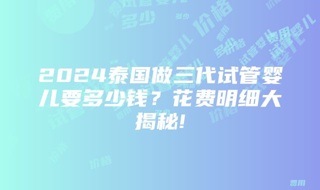 2024泰国做三代试管婴儿要多少钱？花费明细大揭秘!