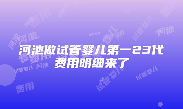 河池做试管婴儿第一23代费用明细来了