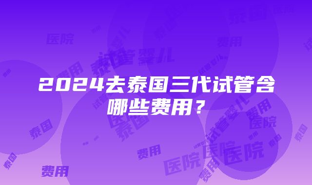 2024去泰国三代试管含哪些费用？