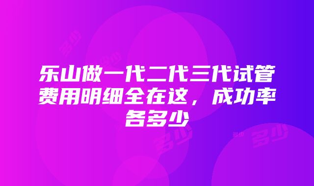 乐山做一代二代三代试管费用明细全在这，成功率各多少