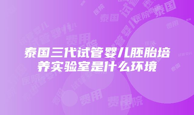 泰国三代试管婴儿胚胎培养实验室是什么环境