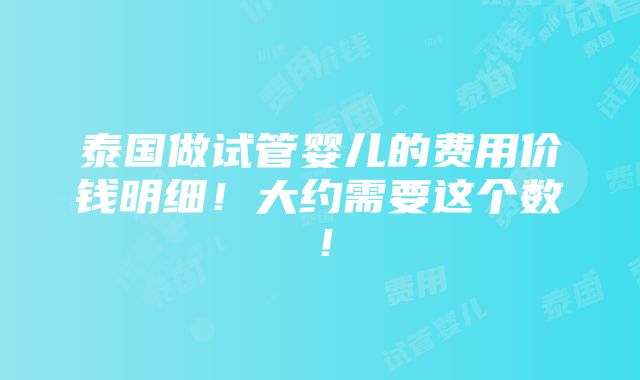 泰国做试管婴儿的费用价钱明细！大约需要这个数！