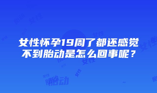 女性怀孕19周了都还感觉不到胎动是怎么回事呢？