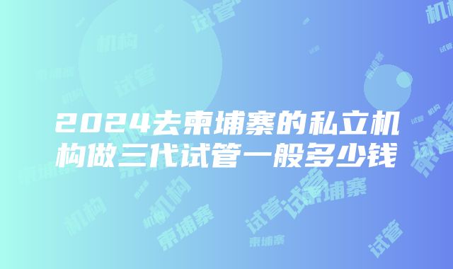 2024去柬埔寨的私立机构做三代试管一般多少钱