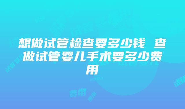 想做试管检查要多少钱 查做试管婴儿手术要多少费用