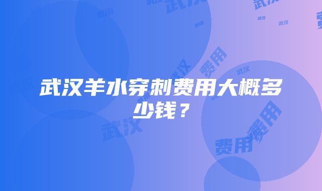 武汉羊水穿刺费用大概多少钱？