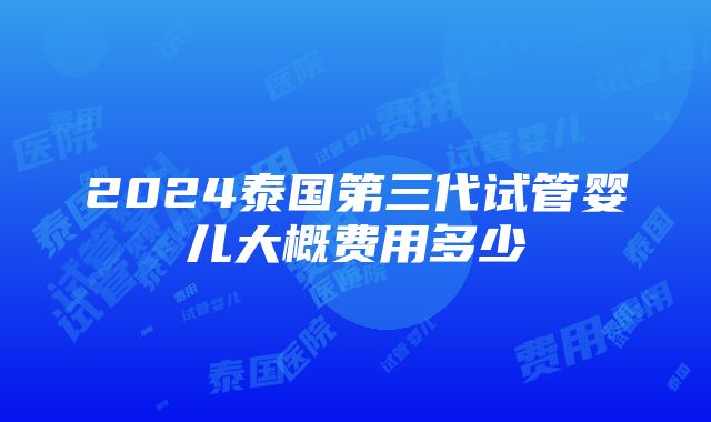 2024泰国第三代试管婴儿大概费用多少