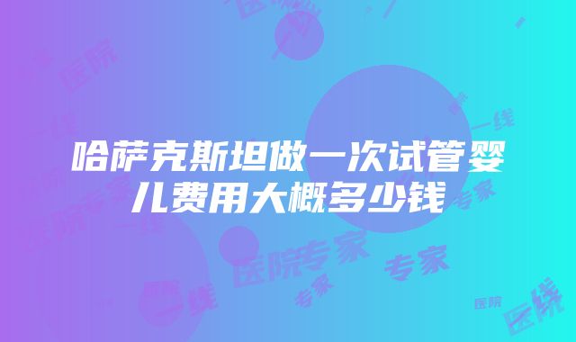 哈萨克斯坦做一次试管婴儿费用大概多少钱