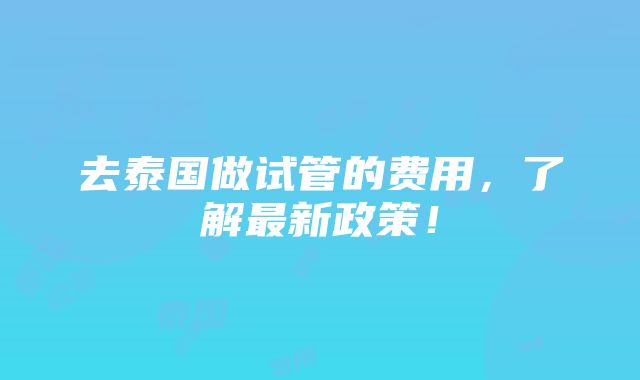 去泰国做试管的费用，了解最新政策！