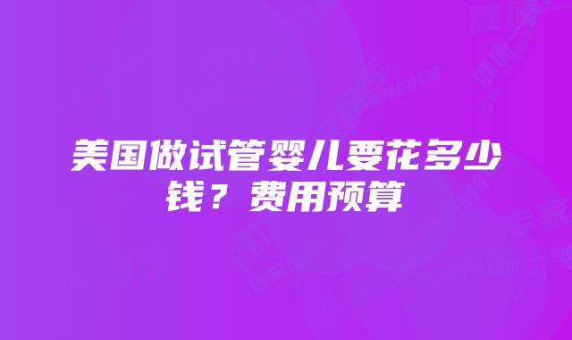 美国做试管婴儿要花多少钱？费用预算