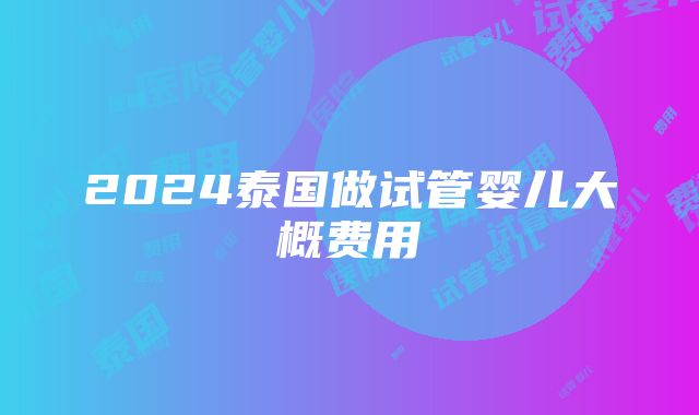 2024泰国做试管婴儿大概费用