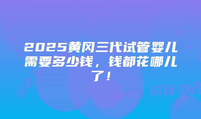 2025黄冈三代试管婴儿需要多少钱，钱都花哪儿了！