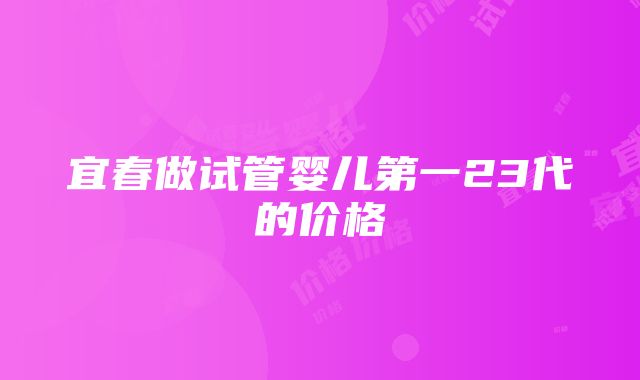 宜春做试管婴儿第一23代的价格