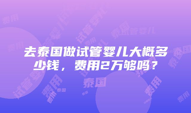 去泰国做试管婴儿大概多少钱，费用2万够吗？