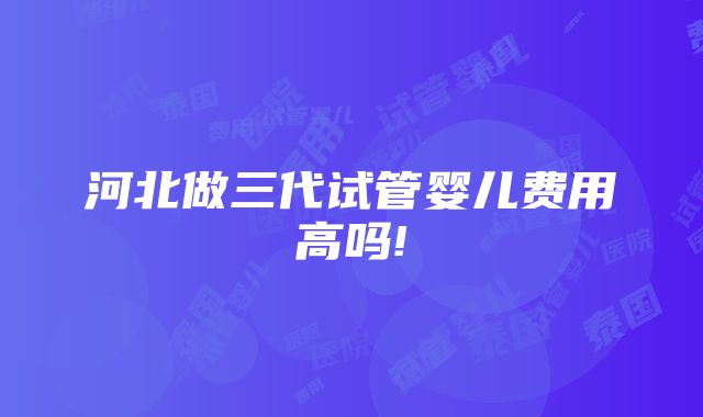 河北做三代试管婴儿费用高吗!