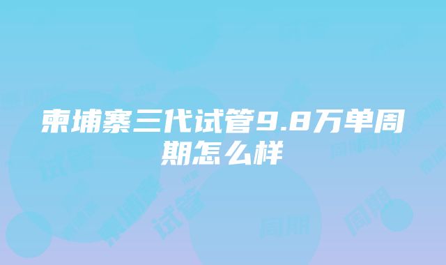 柬埔寨三代试管9.8万单周期怎么样