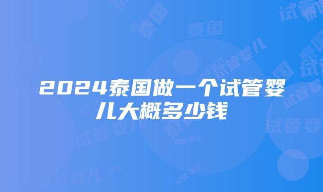 2024泰国做一个试管婴儿大概多少钱