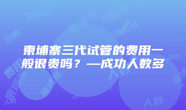 柬埔寨三代试管的费用一般很贵吗？—成功人数多