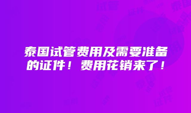 泰国试管费用及需要准备的证件！费用花销来了！