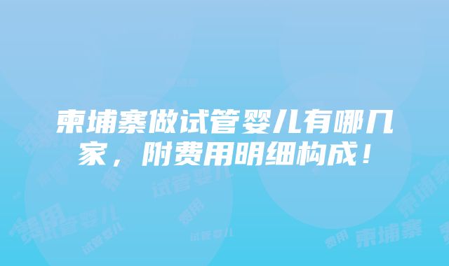 柬埔寨做试管婴儿有哪几家，附费用明细构成！