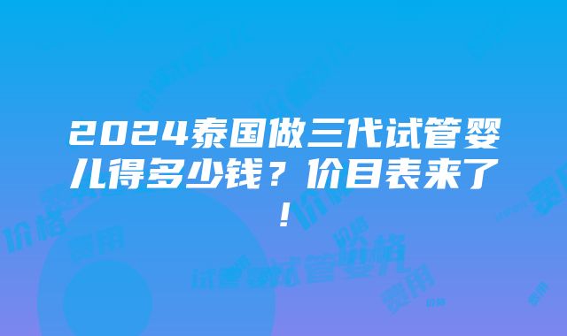 2024泰国做三代试管婴儿得多少钱？价目表来了!