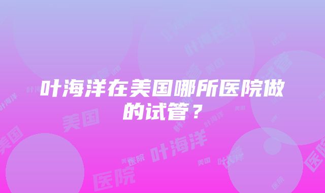 叶海洋在美国哪所医院做的试管？