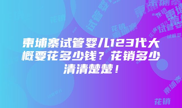 柬埔寨试管婴儿123代大概要花多少钱？花销多少清清楚楚！