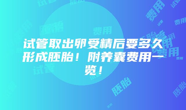 试管取出卵受精后要多久形成胚胎！附养囊费用一览！