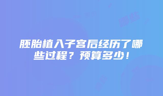 胚胎植入子宫后经历了哪些过程？预算多少！