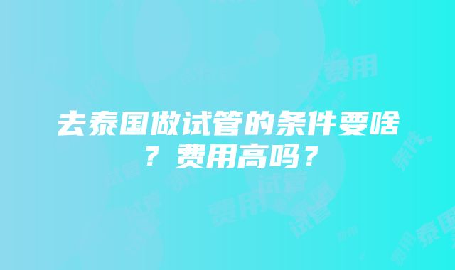 去泰国做试管的条件要啥？费用高吗？