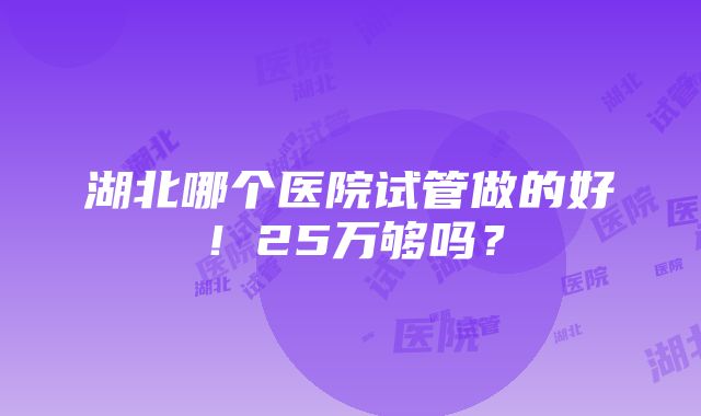 湖北哪个医院试管做的好！25万够吗？