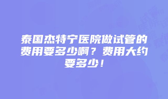 泰国杰特宁医院做试管的费用要多少啊？费用大约要多少！