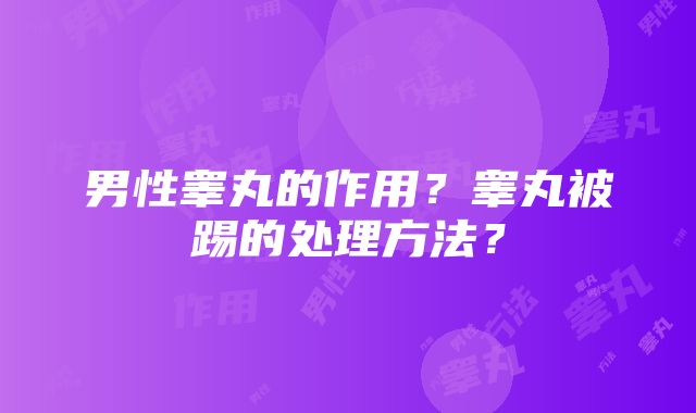 男性睾丸的作用？睾丸被踢的处理方法？