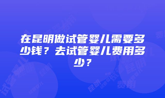 在昆明做试管婴儿需要多少钱？去试管婴儿费用多少？