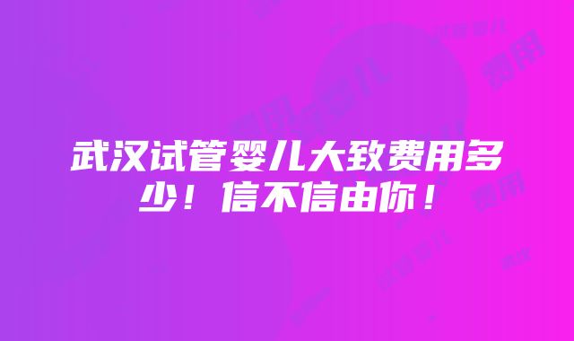 武汉试管婴儿大致费用多少！信不信由你！