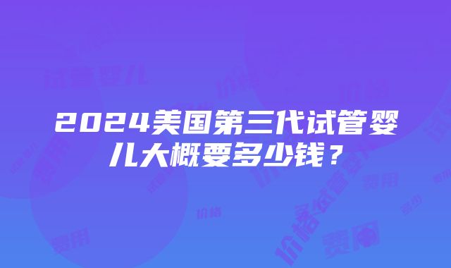 2024美国第三代试管婴儿大概要多少钱？