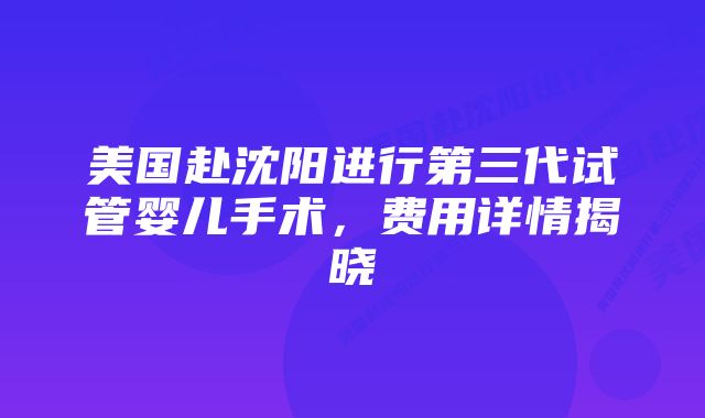 美国赴沈阳进行第三代试管婴儿手术，费用详情揭晓