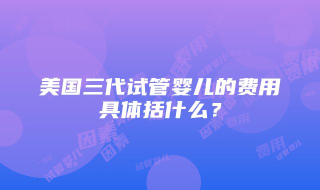 美国三代试管婴儿的费用具体括什么？