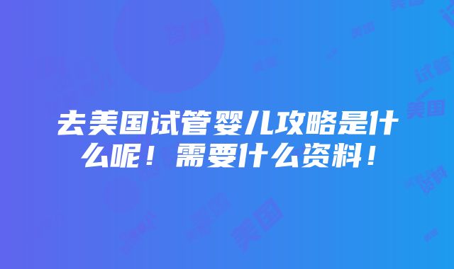 去美国试管婴儿攻略是什么呢！需要什么资料！