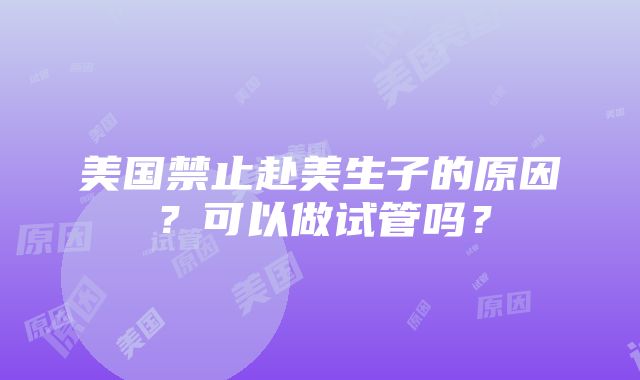 美国禁止赴美生子的原因？可以做试管吗？