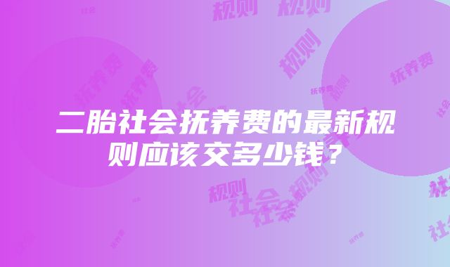 二胎社会抚养费的最新规则应该交多少钱？