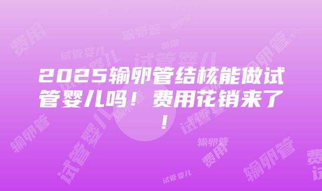 2025输卵管结核能做试管婴儿吗！费用花销来了！