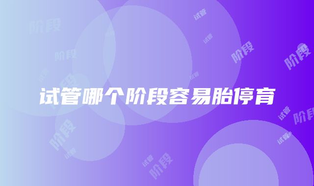 试管哪个阶段容易胎停育