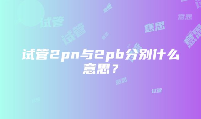 试管2pn与2pb分别什么意思？