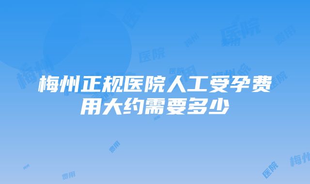 梅州正规医院人工受孕费用大约需要多少