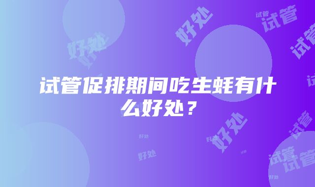 试管促排期间吃生蚝有什么好处？