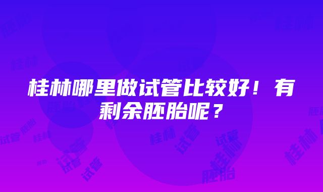 桂林哪里做试管比较好！有剩余胚胎呢？